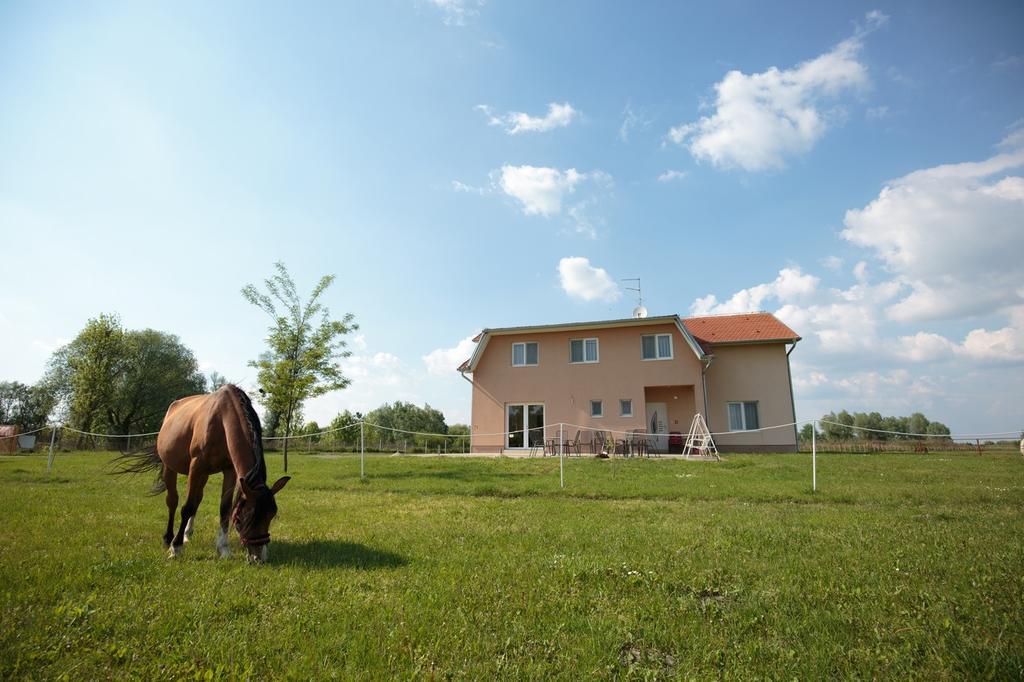 Guesthouse Capistro Bilje 외부 사진